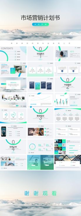 市场营销计划书
