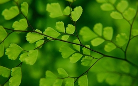 拍摄素材