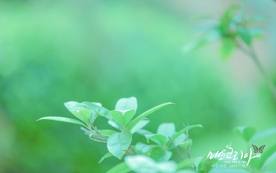 拍摄素材