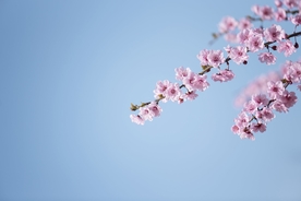 拍摄素材