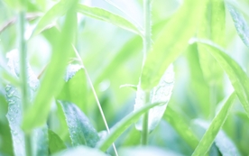拍摄素材