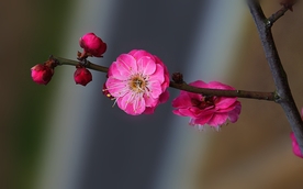 拍摄素材