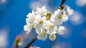 拍摄素材