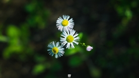 拍摄素材