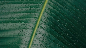 拍摄素材