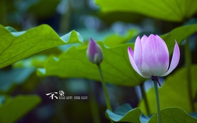 拍摄素材