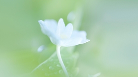 拍摄素材