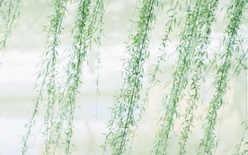 拍摄素材