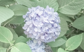 拍摄素材