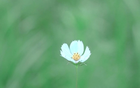 拍摄素材