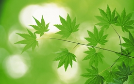 拍摄素材
