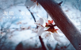 拍摄素材