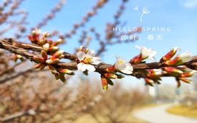 拍摄素材