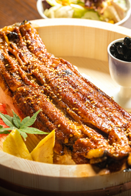 鳗鱼美食食材背景海报素材