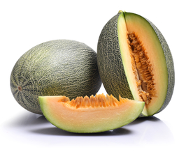 哈密瓜水果果实背景海报素材