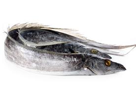 带鱼海鲜美食食材背景海报素材