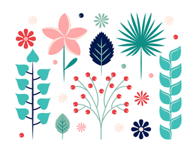 花卉 花朵 植物