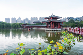 凉亭景点旅游旅行背景海报素材