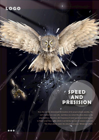 猫头鹰动物企业海报