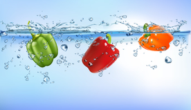 辣椒水花矢量图