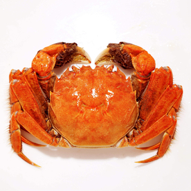 海鲜螃蟹