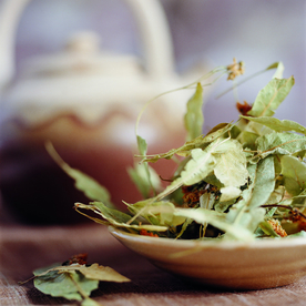 茶 茶叶展板 茶叶素材 功夫