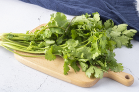 芹菜蔬菜食材背景海报素材