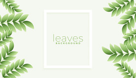 背景模板 展板设计