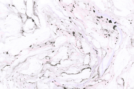 彩色背景梦幻背景水彩