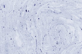 彩色背景梦幻背景