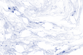 彩色背景梦幻背景水彩