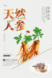 天然人参海报