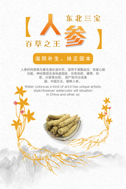 中国风中药材人参海报