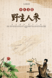 中国风中药材人参海报