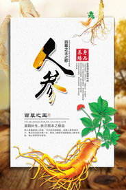 中药人参西洋参促销海报