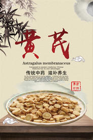 中国风黄芪药材海报
