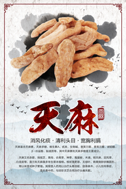 天麻名贵中药海报
