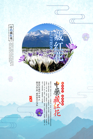 中药藏红花中医养生药店海报