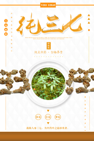 名贵中药三七海报