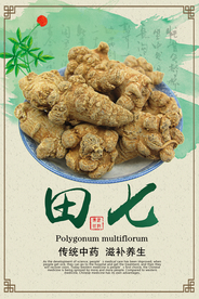 中国风田七药材海报