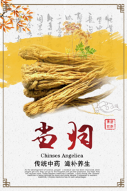 中国风当归中药海报