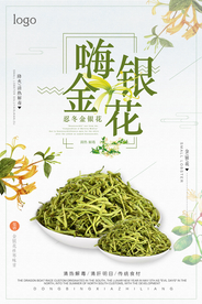 简洁大气金银花中药海报
