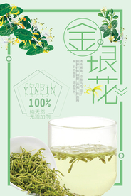 小清新简约金银花海报