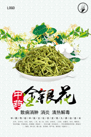 金银花中药海报