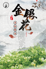 金银花中药海报