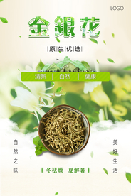 自然清新金银花海报