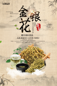 中国金银花草药宣传海报