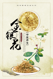 简约风药品金银花宣传海报