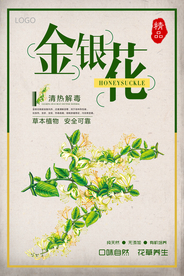 简洁金银花海报