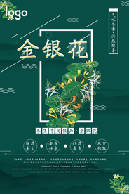 简洁药品金银花海报